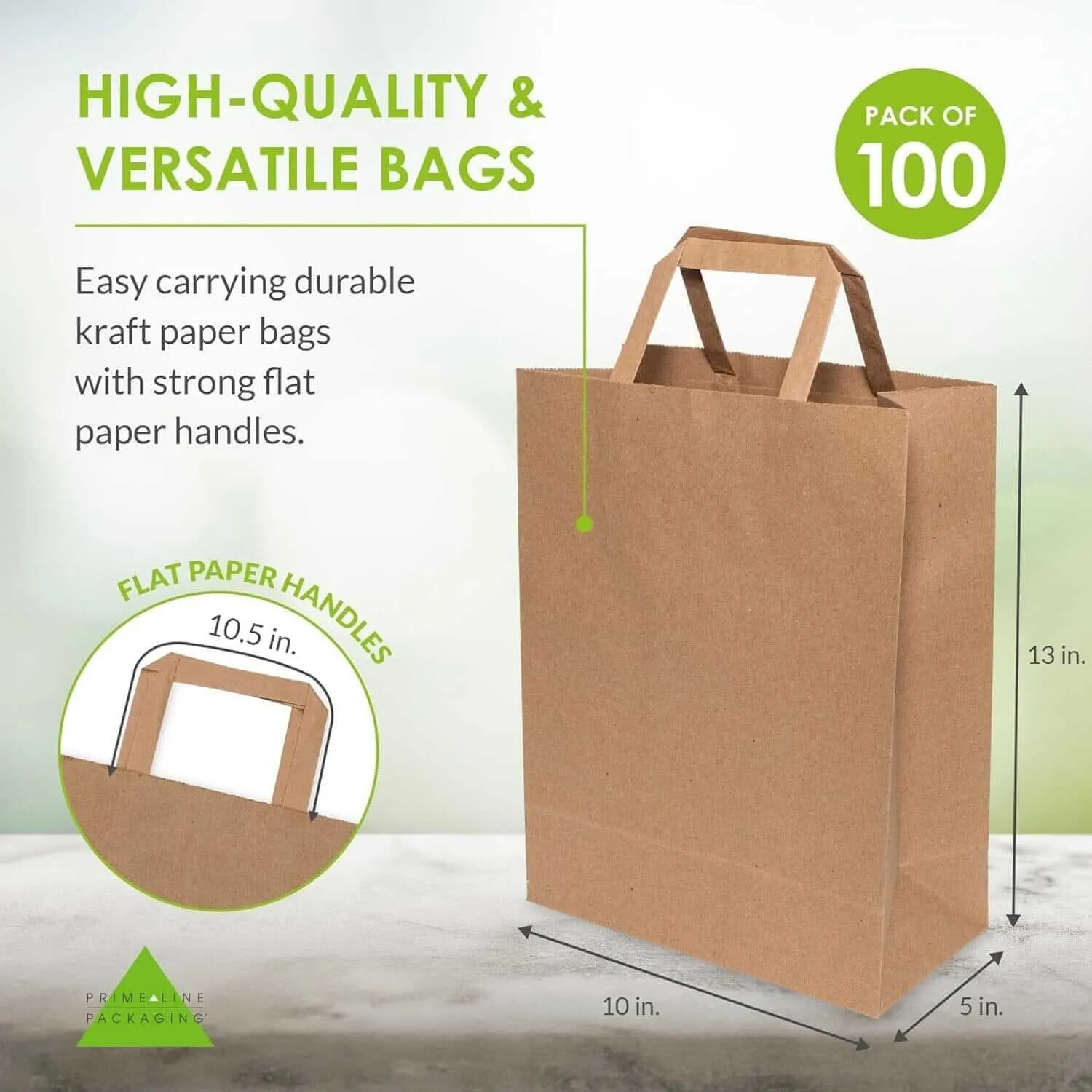 10x5x13 Medium Flat Handle Paper Bags